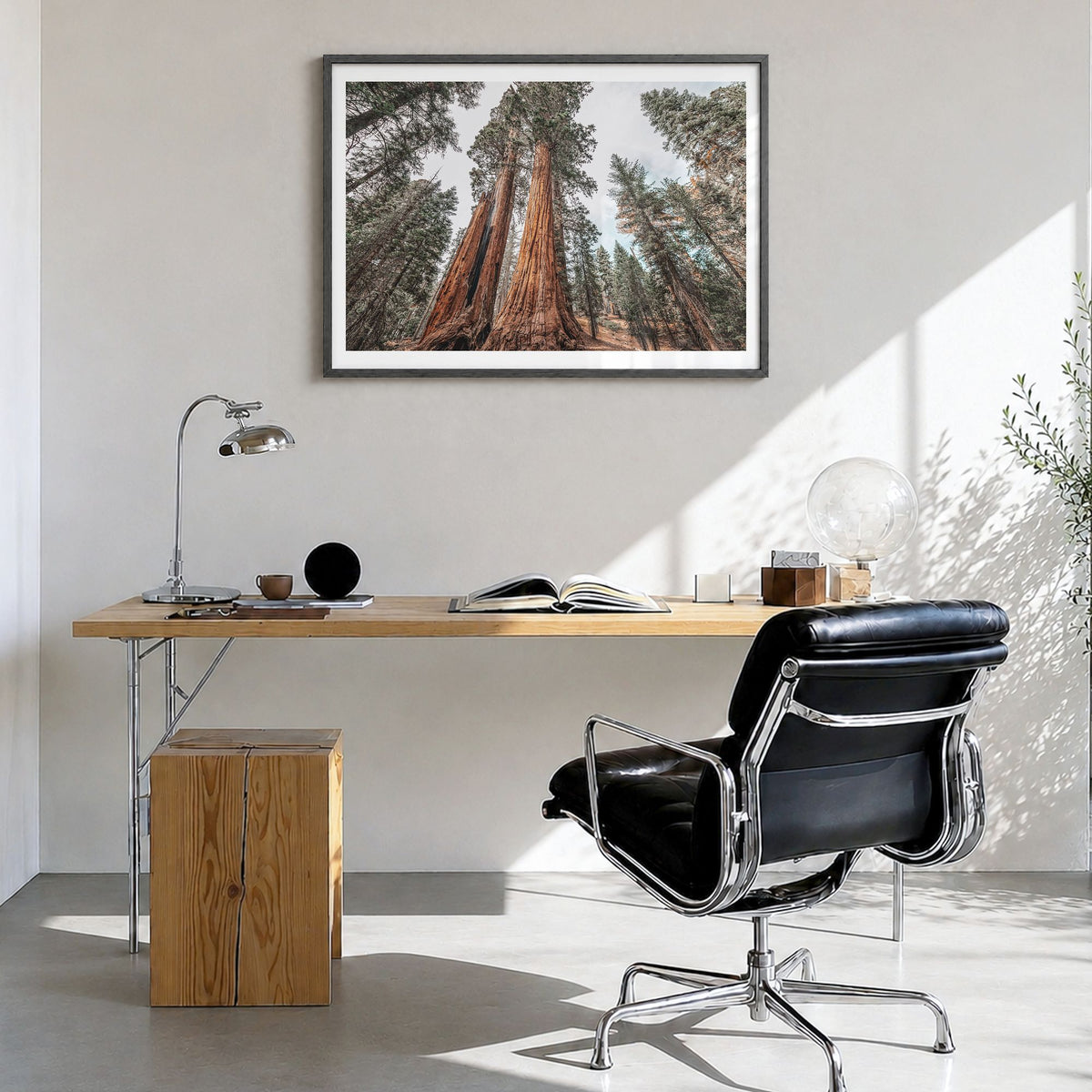 Redwood National Park Photo Poster in a black wood frame, hanging in a bright home office, white border