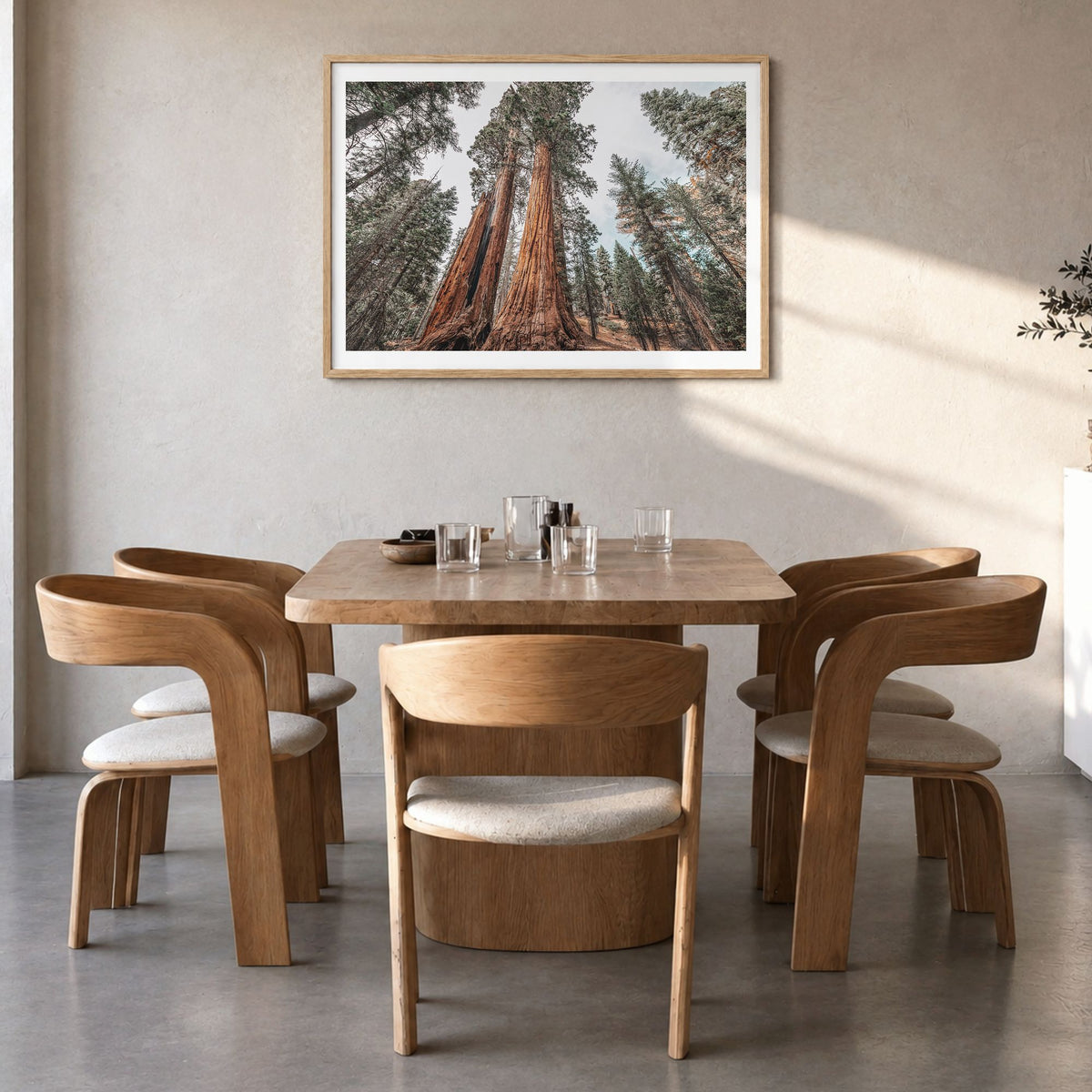 Redwood National Park Photo Poster in a natural wood frame, hanging in a dining room, white border