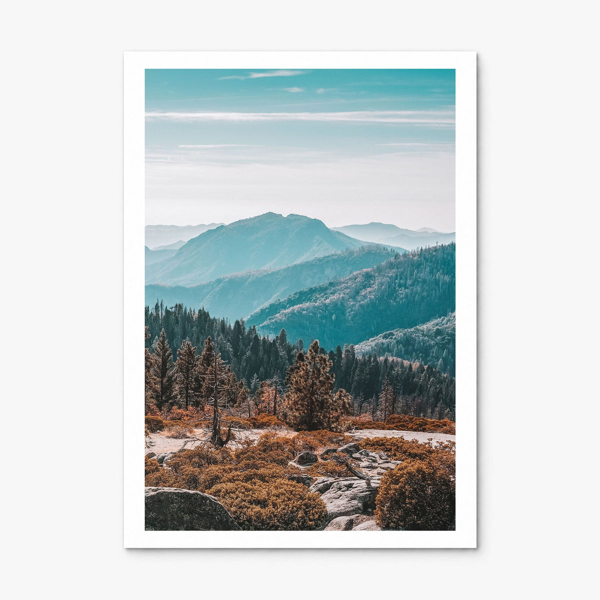 Redwood National Park Photo No 1 Poster, print only (unframed), white border