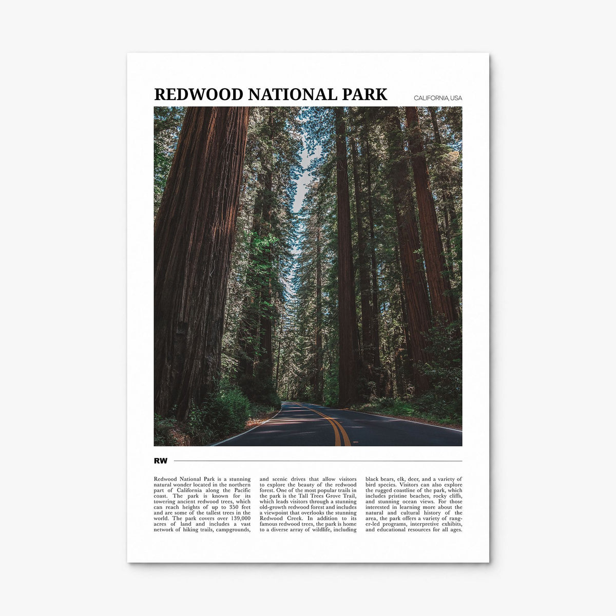 Redwood National Park Travel Poster, print only (unframed)