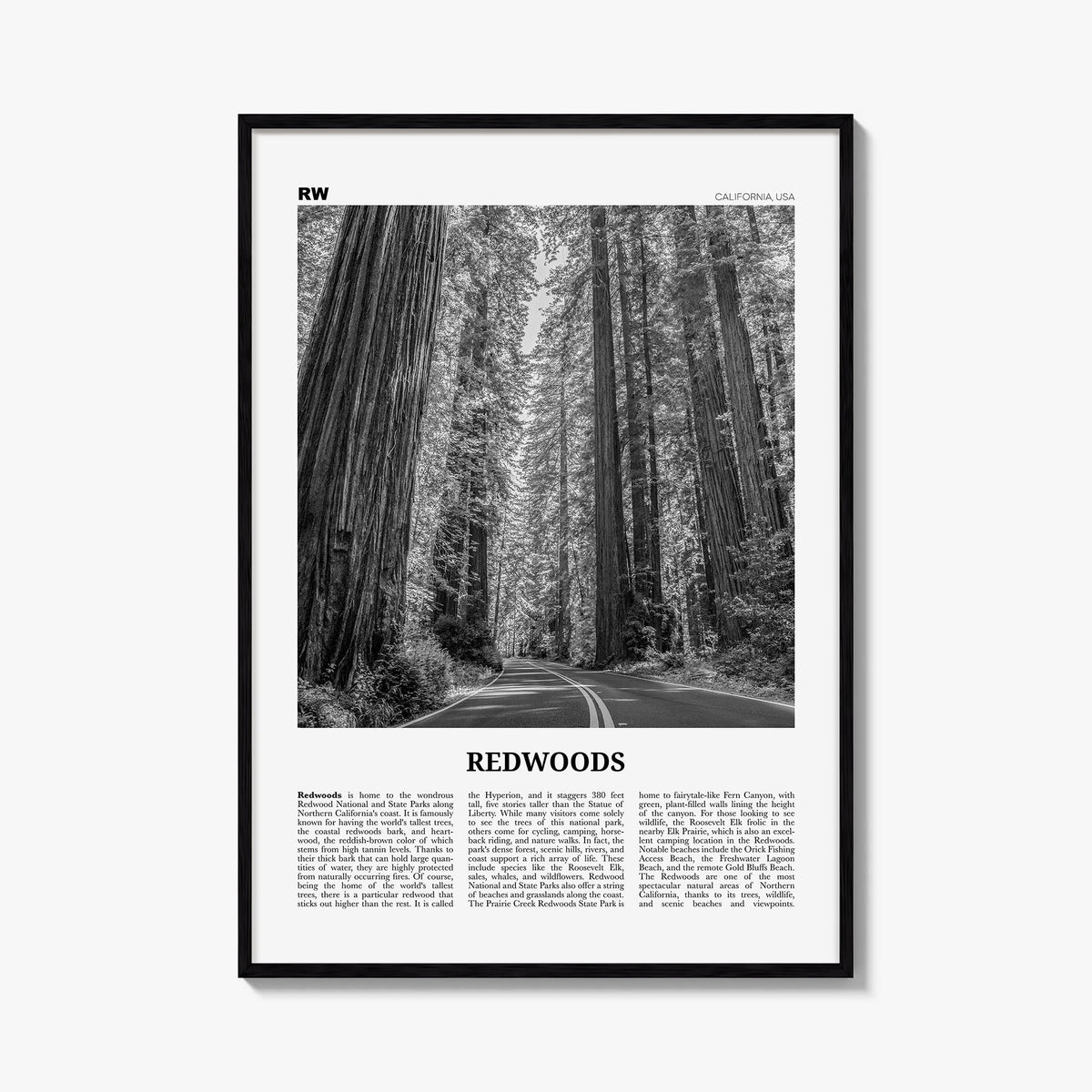 Redwood National Park no. 2 black & white newspaper poster of California, USA – vertical wall art, unframed print shown in in