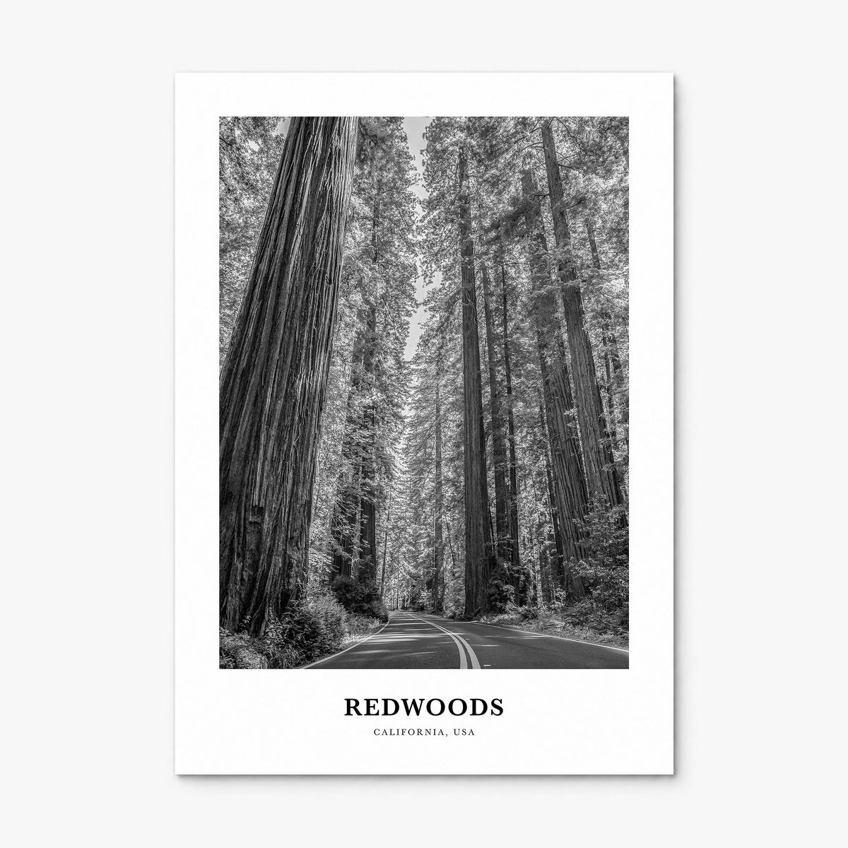 Redwoods Classic Poster, print only (unframed)
