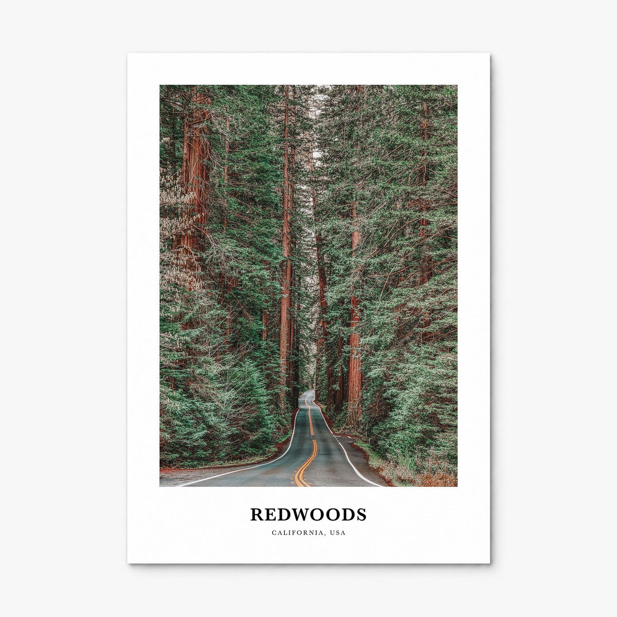 Redwoods Classic Poster, print only (unframed)