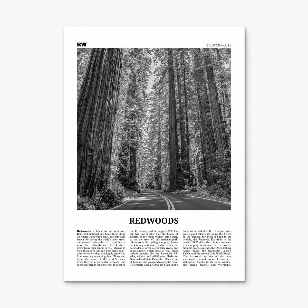 Redwoods Newspaper Poster, print only (unframed)