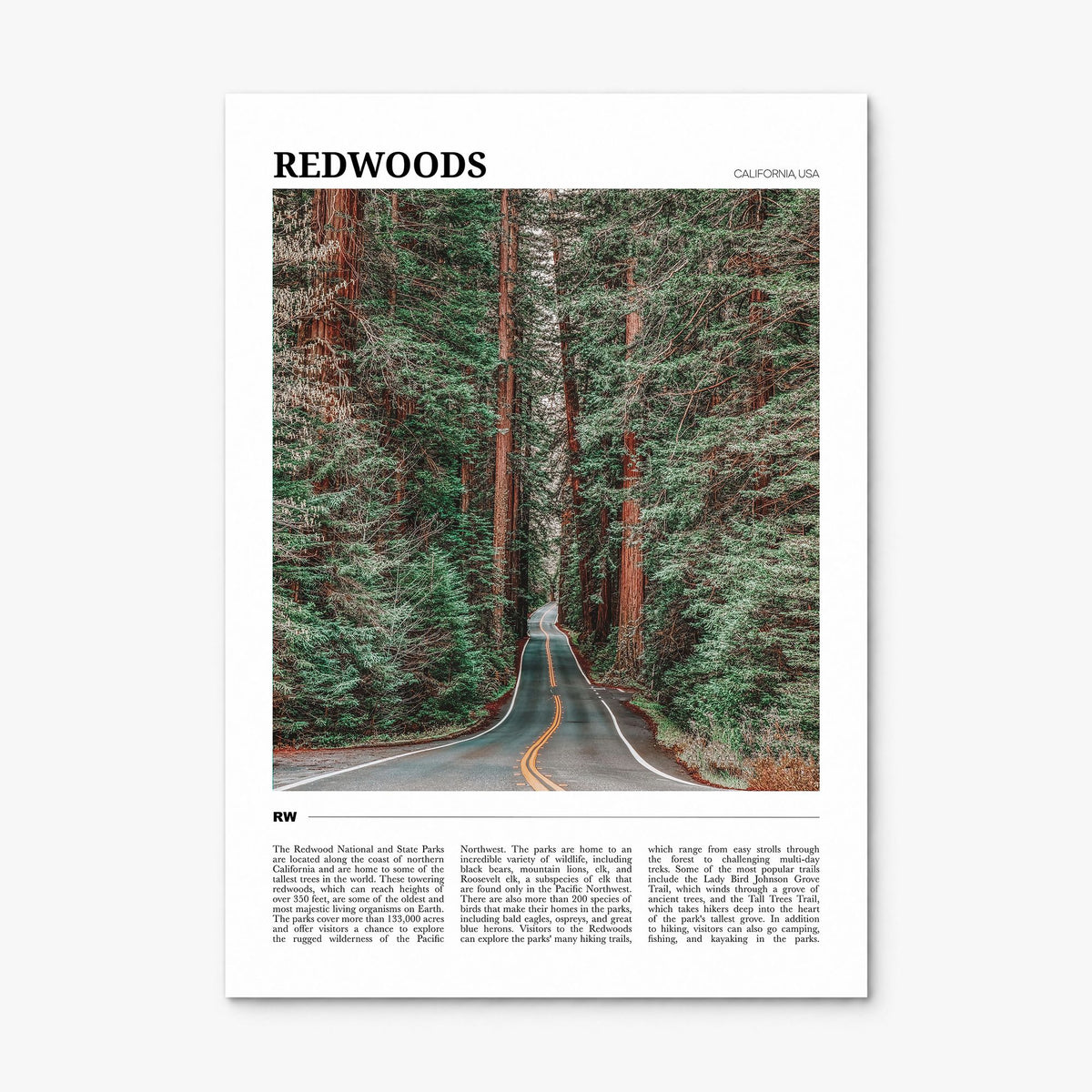 Redwoods Travel Poster, print only (unframed)