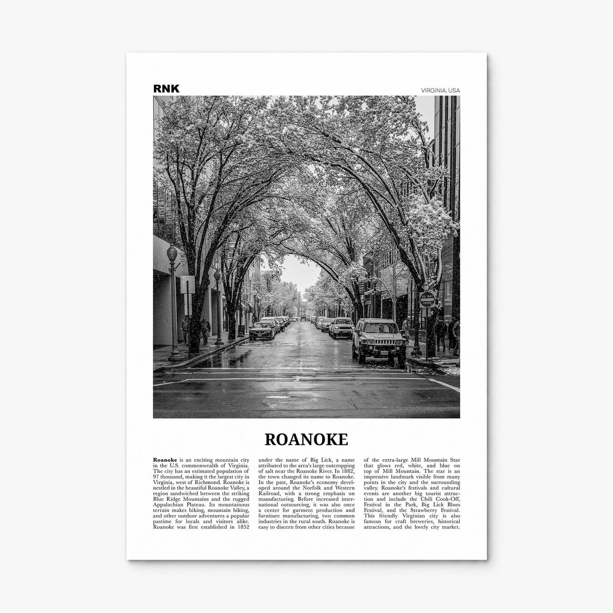 Roanoke Newspaper No 2 Poster, print only (unframed)