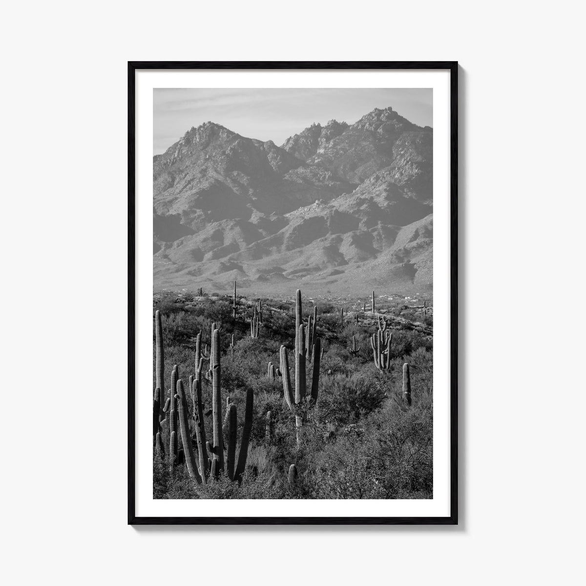 Saguaro National Park no. 1 black & white photo poster of Arizona, USA – vertical wall art, unframed print shown in interior