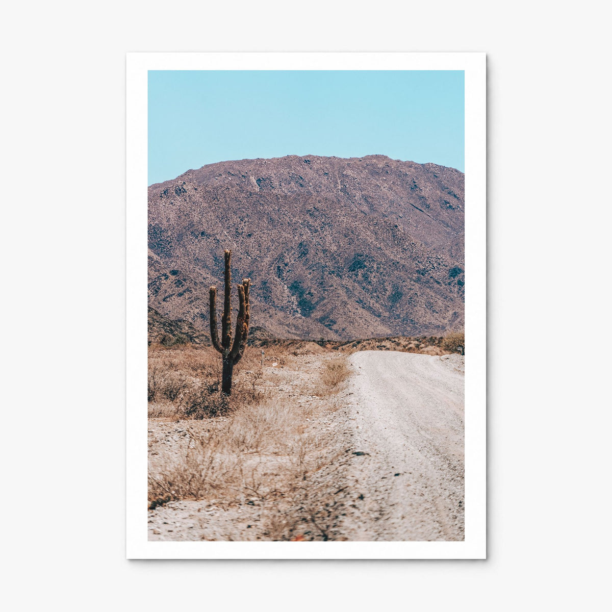 Saguaro National Park Photo No 3 Poster, print only (unframed), white border