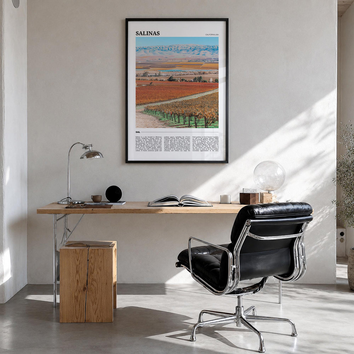 Salinas Travel Poster