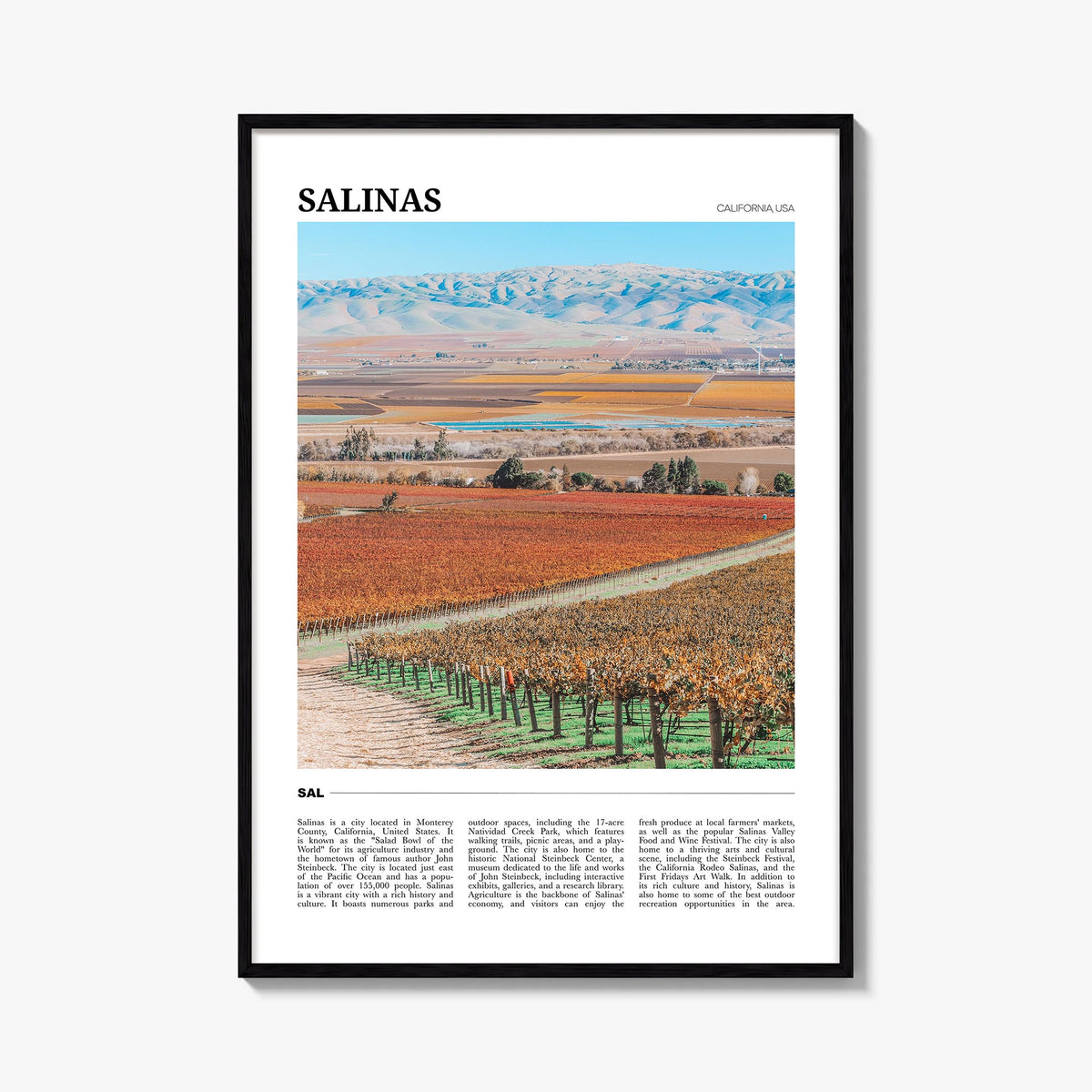 Salinas Travel Poster
