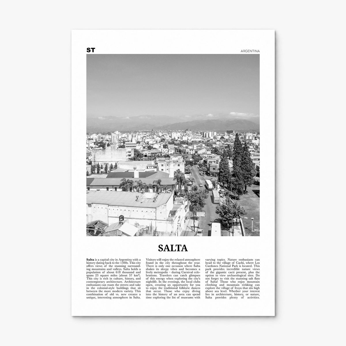 Salta Newspaper Poster, print only (unframed)