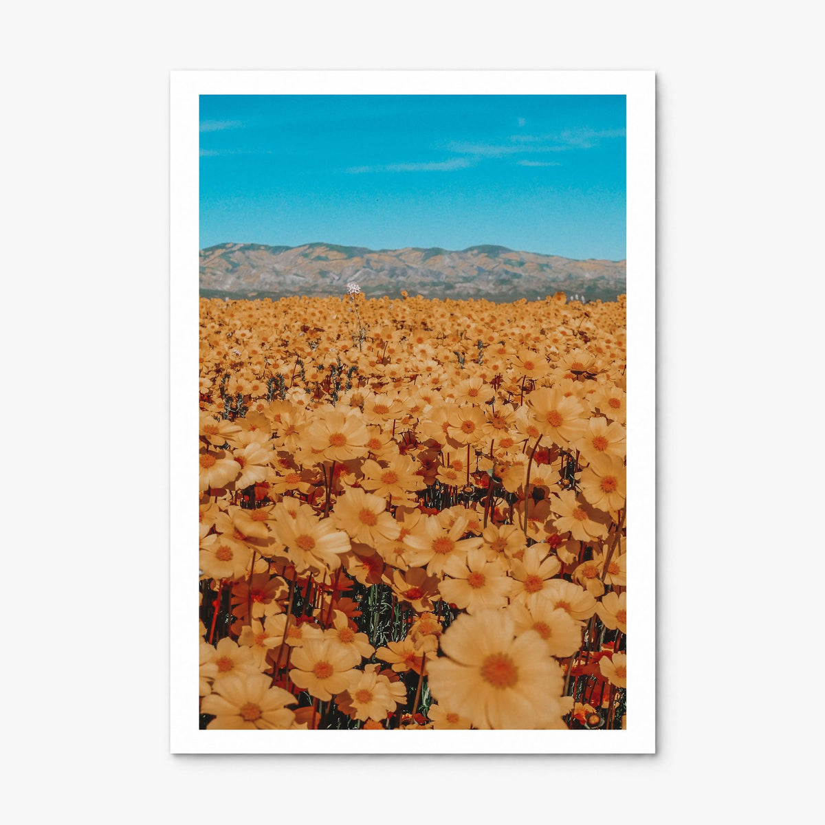 San Luis Obispo Photo No 2 Poster, print only (unframed), white border
