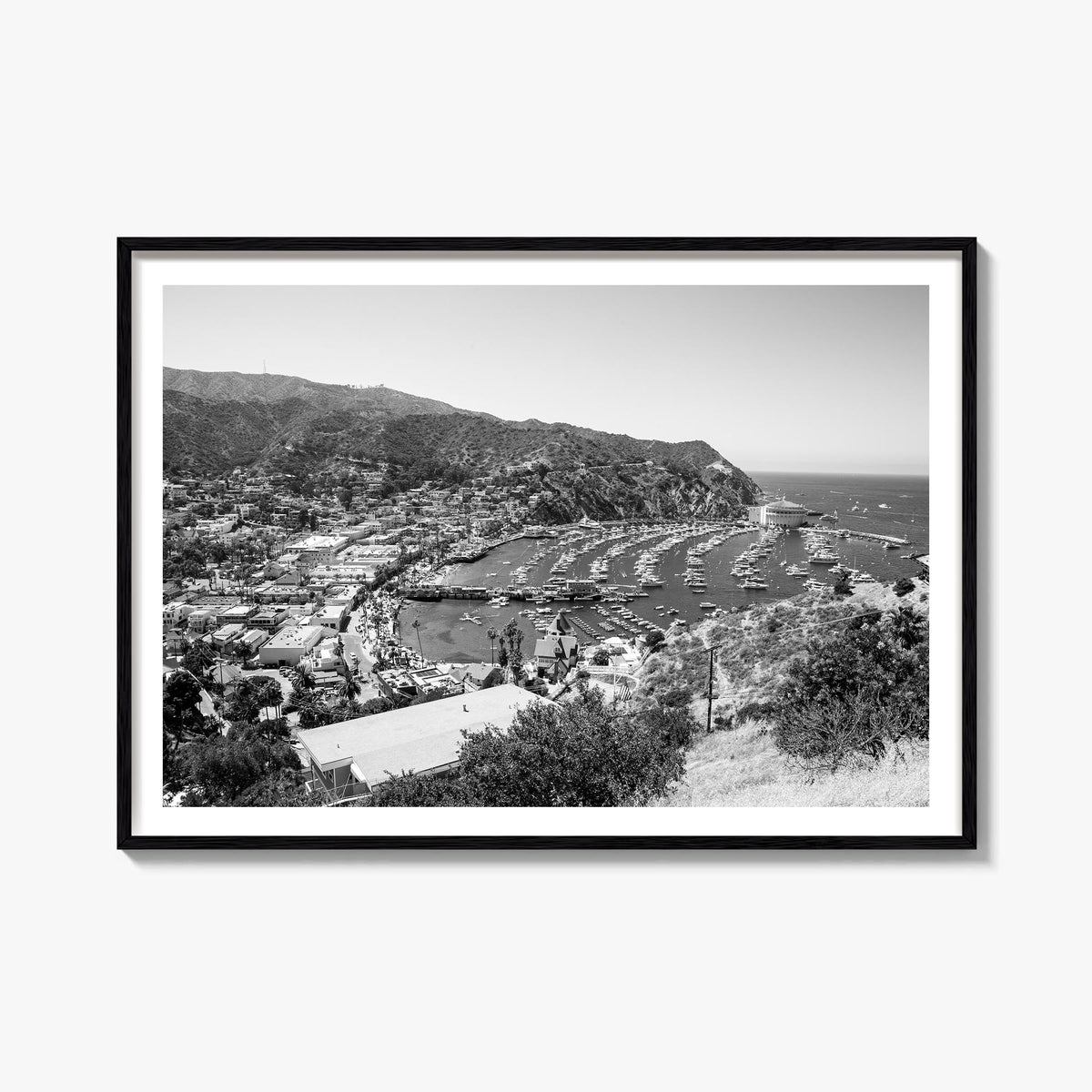 Santa Catalina Island black & white photo poster of California, USA – horizontal wall art, unframed print shown in interior m