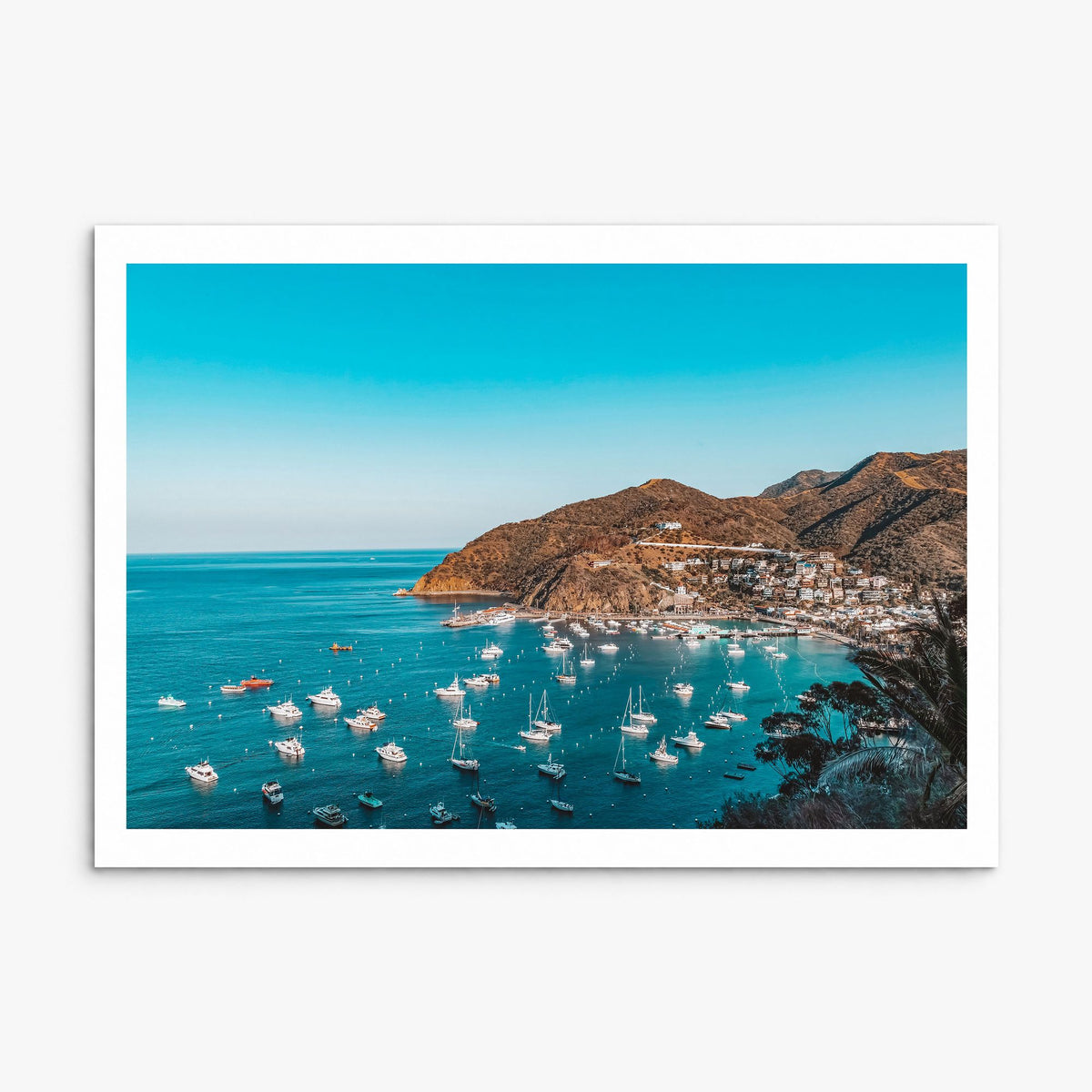 Santa Catalina Island Photo Poster, print only (unframed), white border