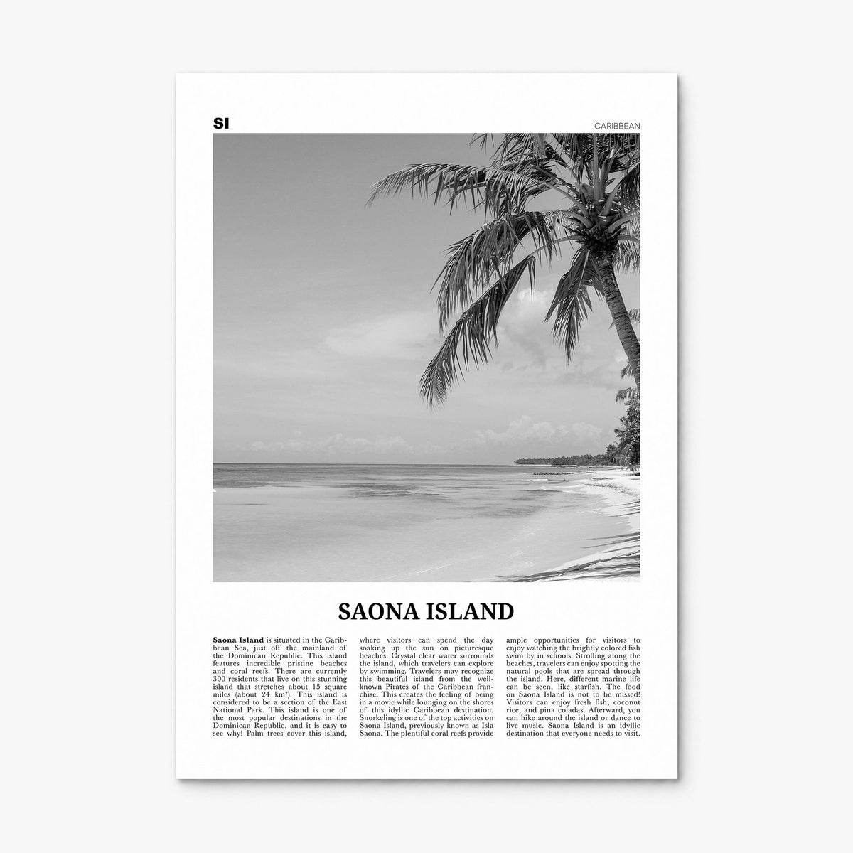 Saona Island Newspaper Poster, print only (unframed)