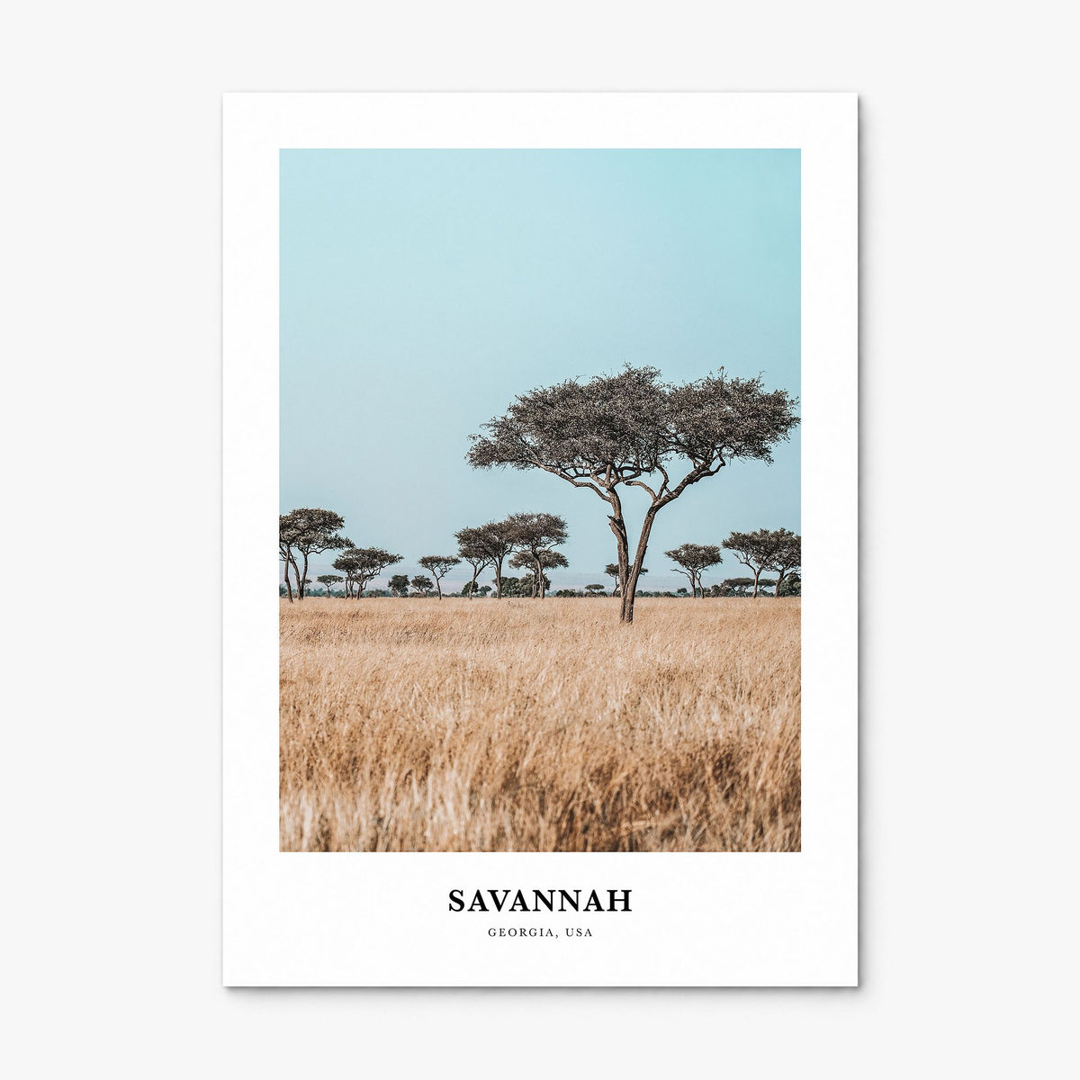Savannah Classic Poster, print only (unframed)