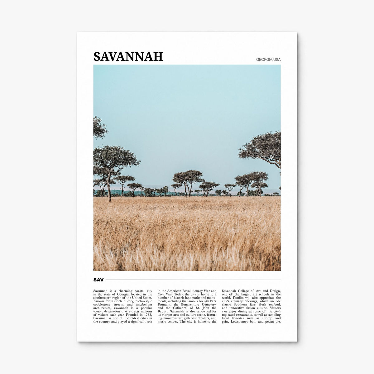 Savannah Travel Poster, print only (unframed)
