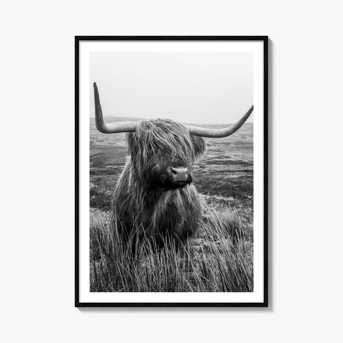 Scottish Highlander no. 1 black & white photo poster – vertical wall art, unframed print shown in interior mockup