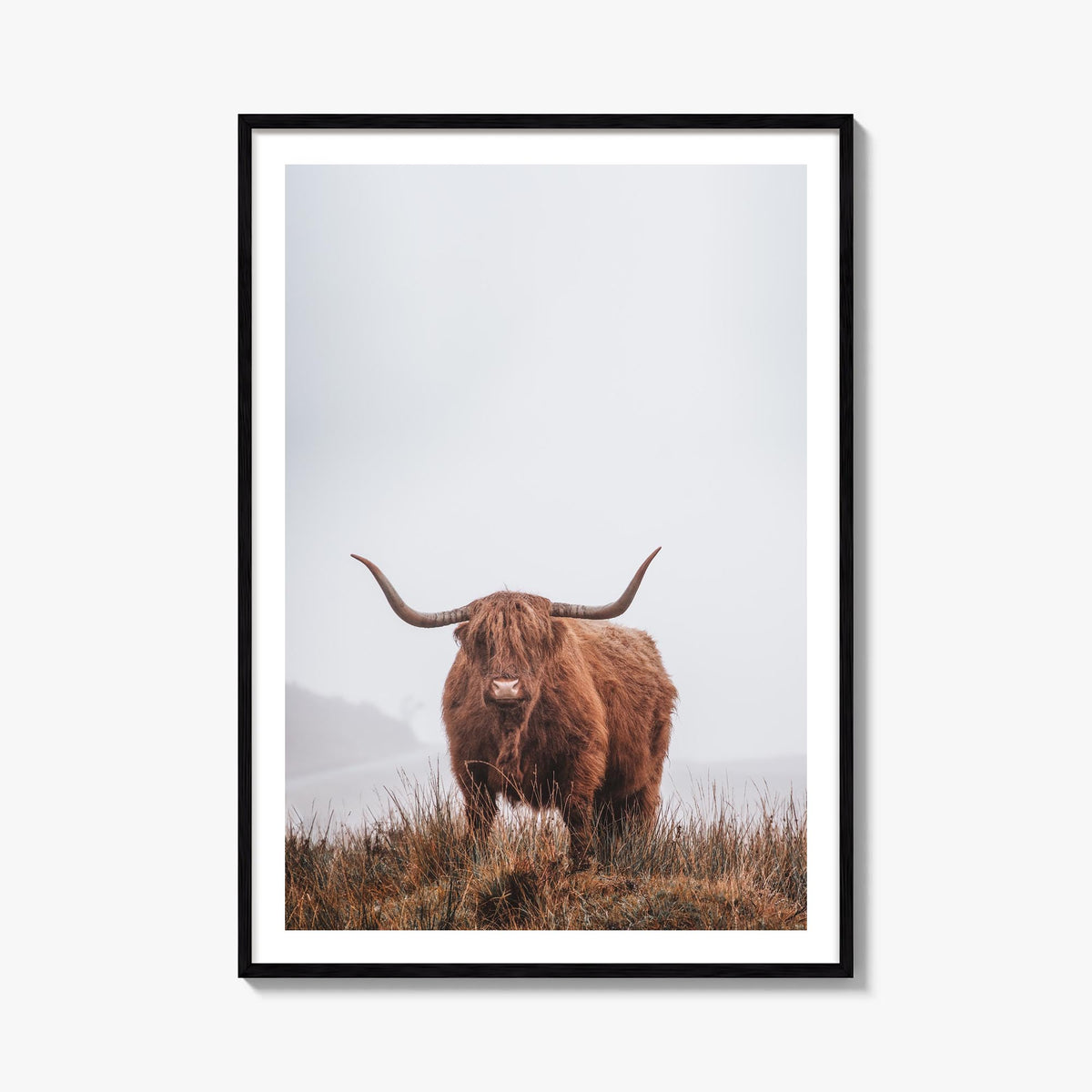 Scottish Highlander no. 1 colorful photo poster – vertical wall art, unframed print shown in interior mockup