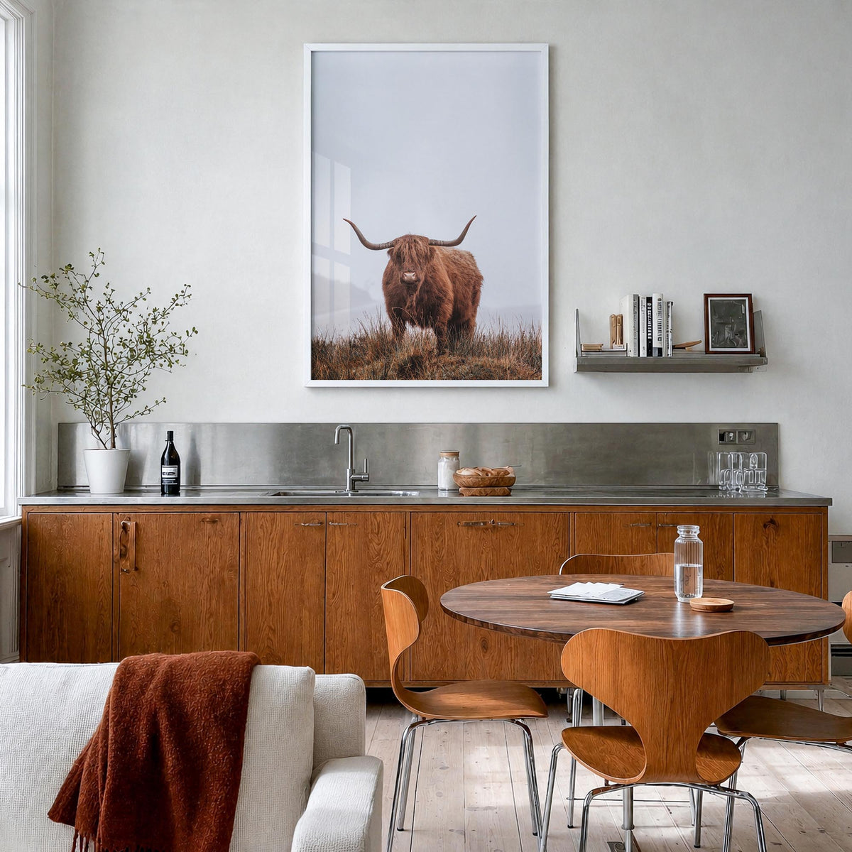 Scottish Highlander no. 1 colorful photo poster – vertical wall art in white wood frame, hanging on wall