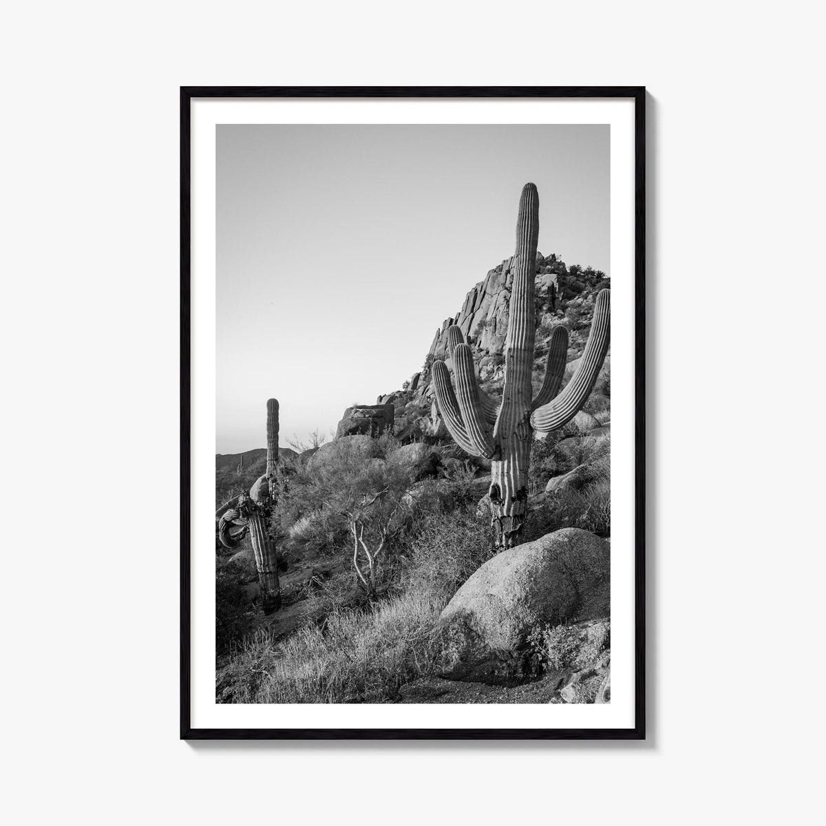 Scottsdale no. 2 black & white photo poster of Arizona, USA – vertical wall art, unframed print shown in interior mockup
