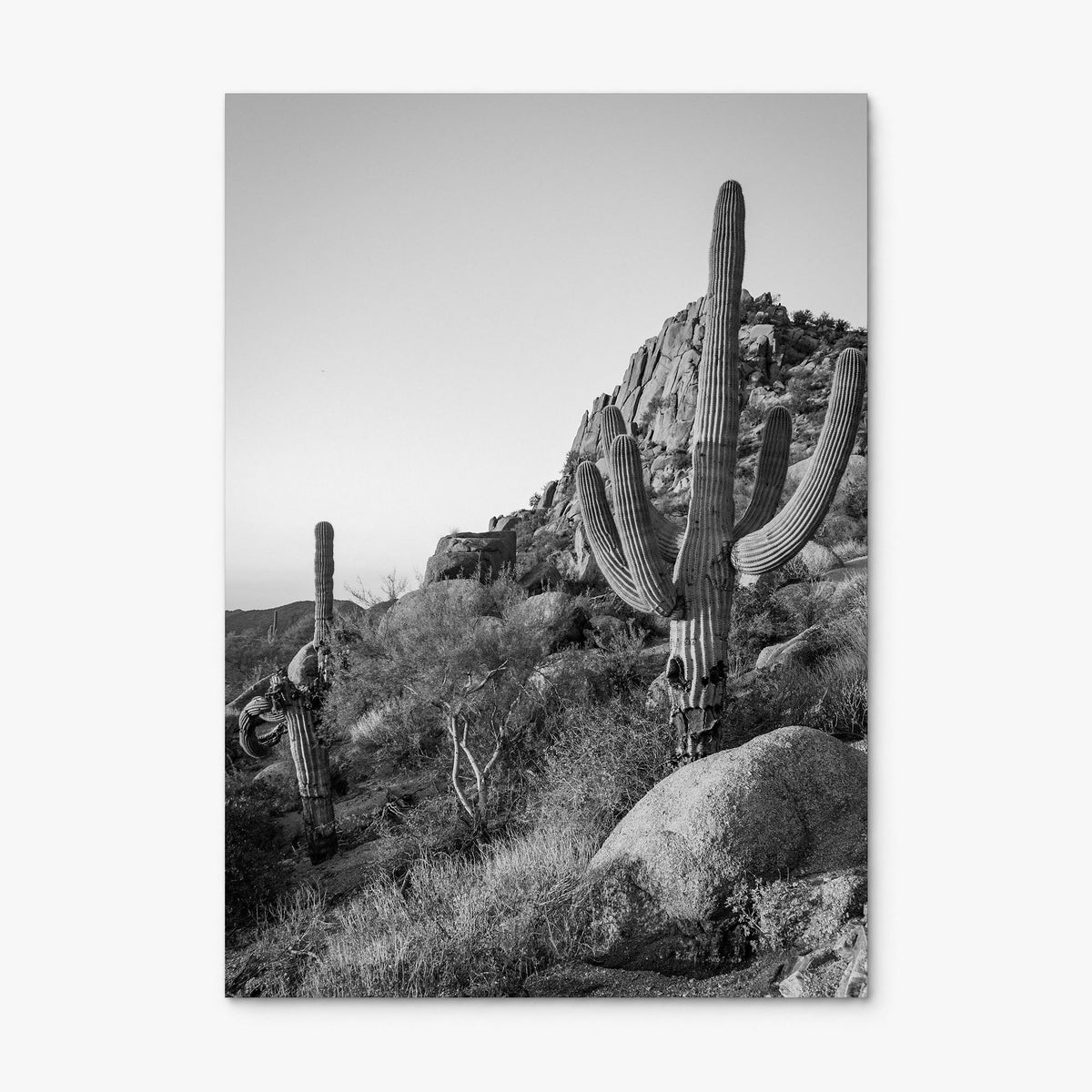 Scottsdale Photo No 2 Poster, print only (unframed), full image (no border)