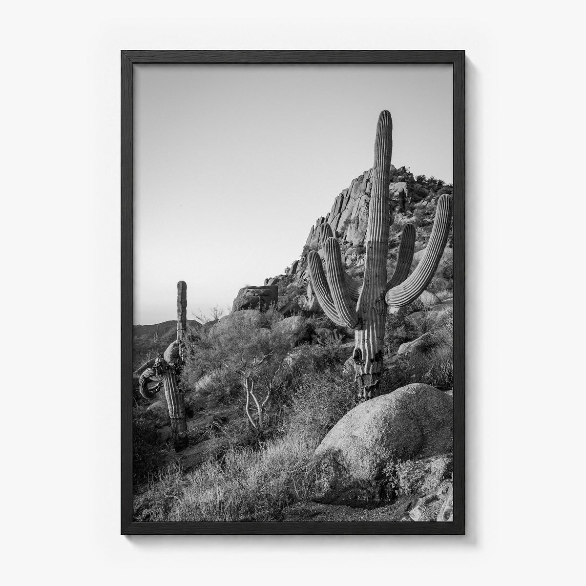 Scottsdale Photo No 2 Poster in a black wood frame, full image (no border)