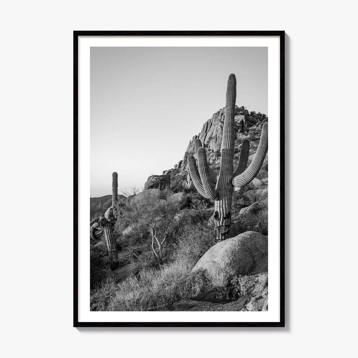 Scottsdale Photo No 2 Poster, framed poster mockup, white border