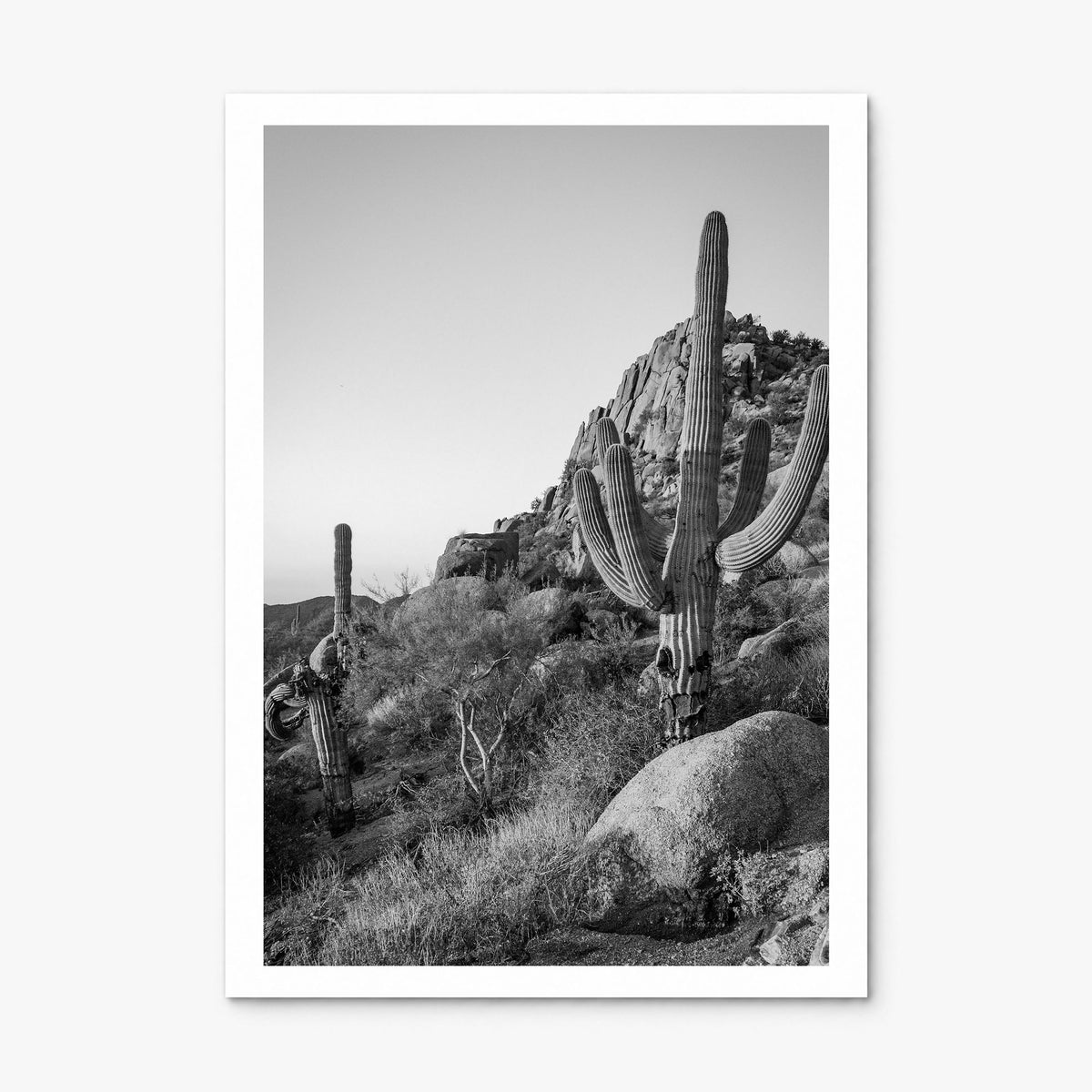 Scottsdale Photo No 2 Poster, print only (unframed), white border
