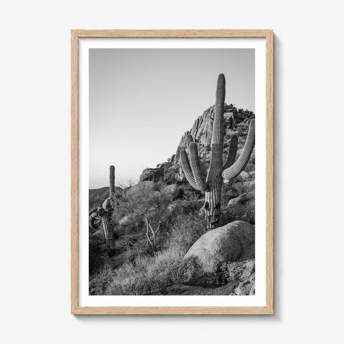 Scottsdale Photo No 2 Poster in a natural wood frame, white border