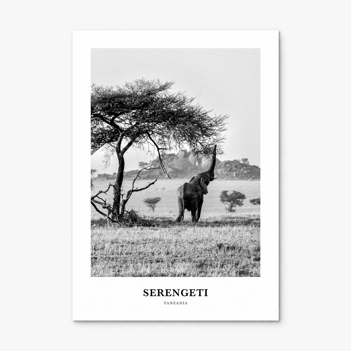Serengeti National Park Classic Poster, print only (unframed)