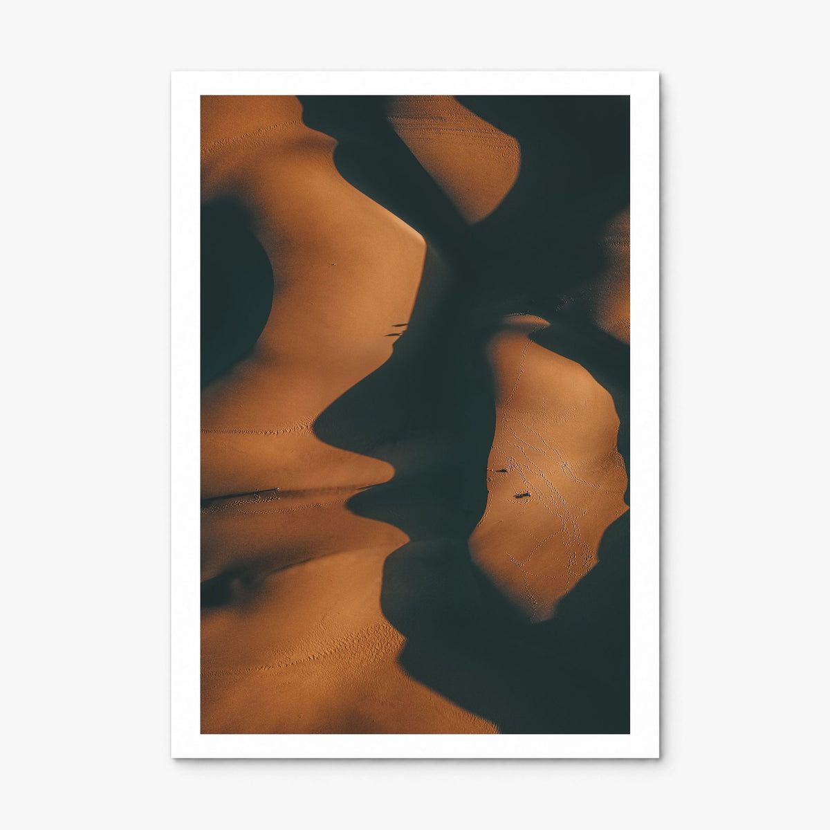 Shadow Sand Dunes Photo Poster, print only (unframed), white border