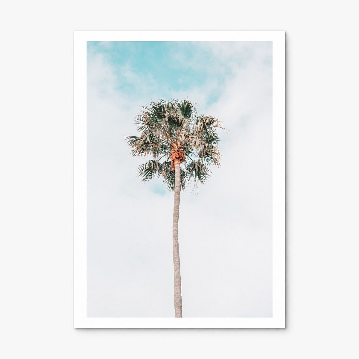 Single Palm Tree Photo Poster, print only (unframed), white border