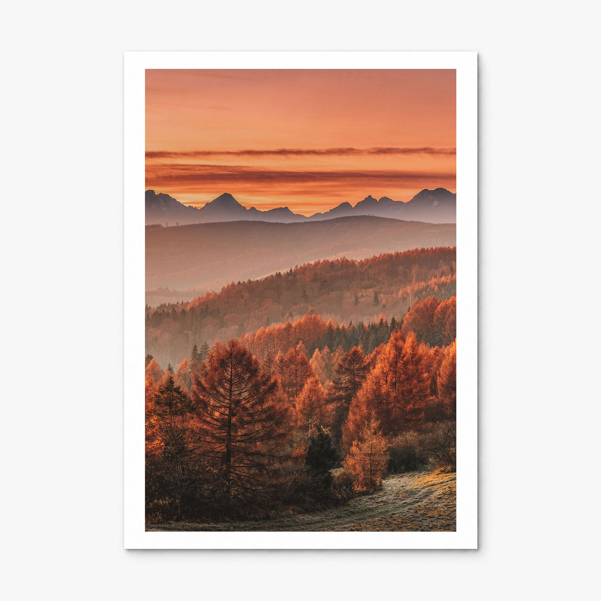 Slovakia Photo Poster, print only (unframed), white border