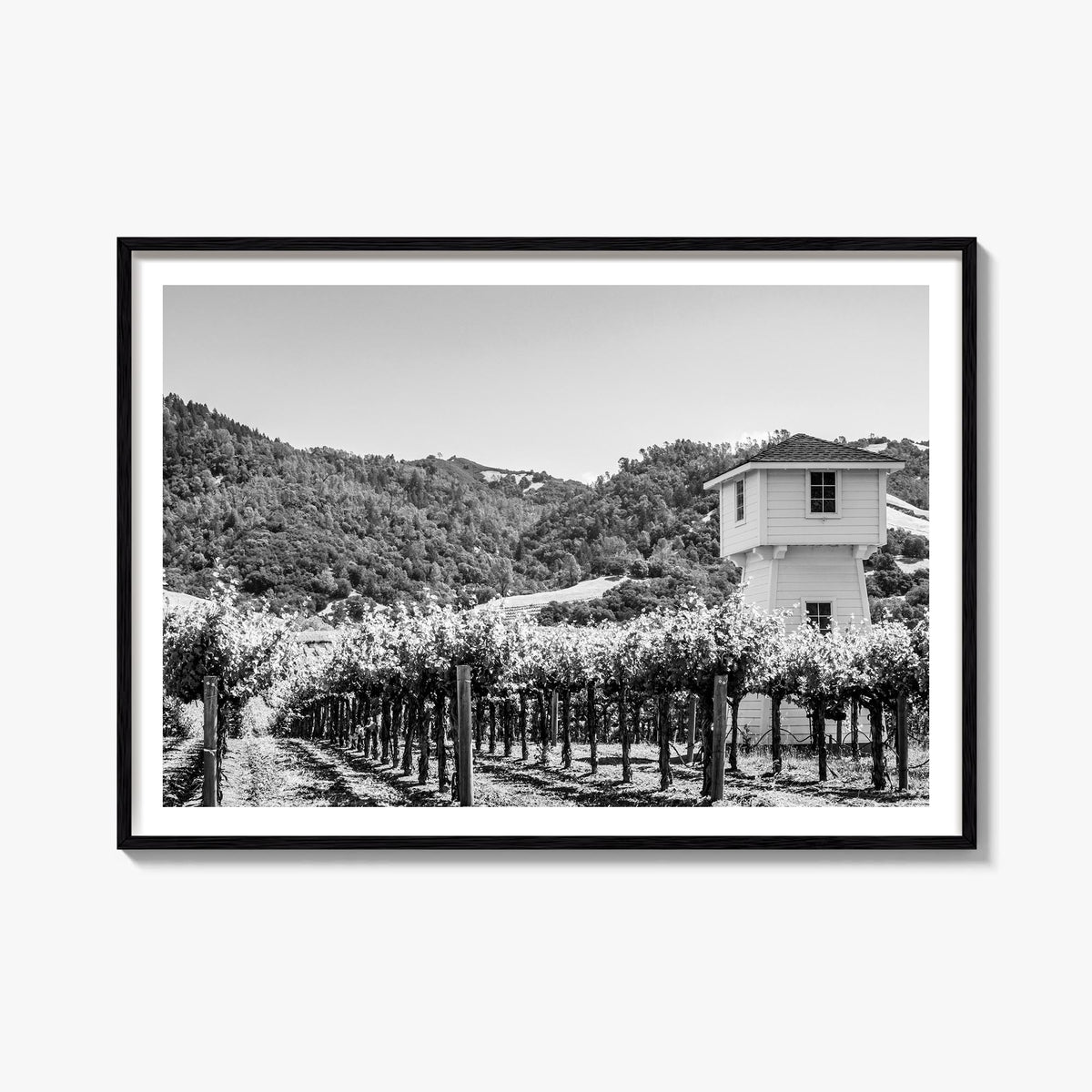 Sonoma Photo Poster