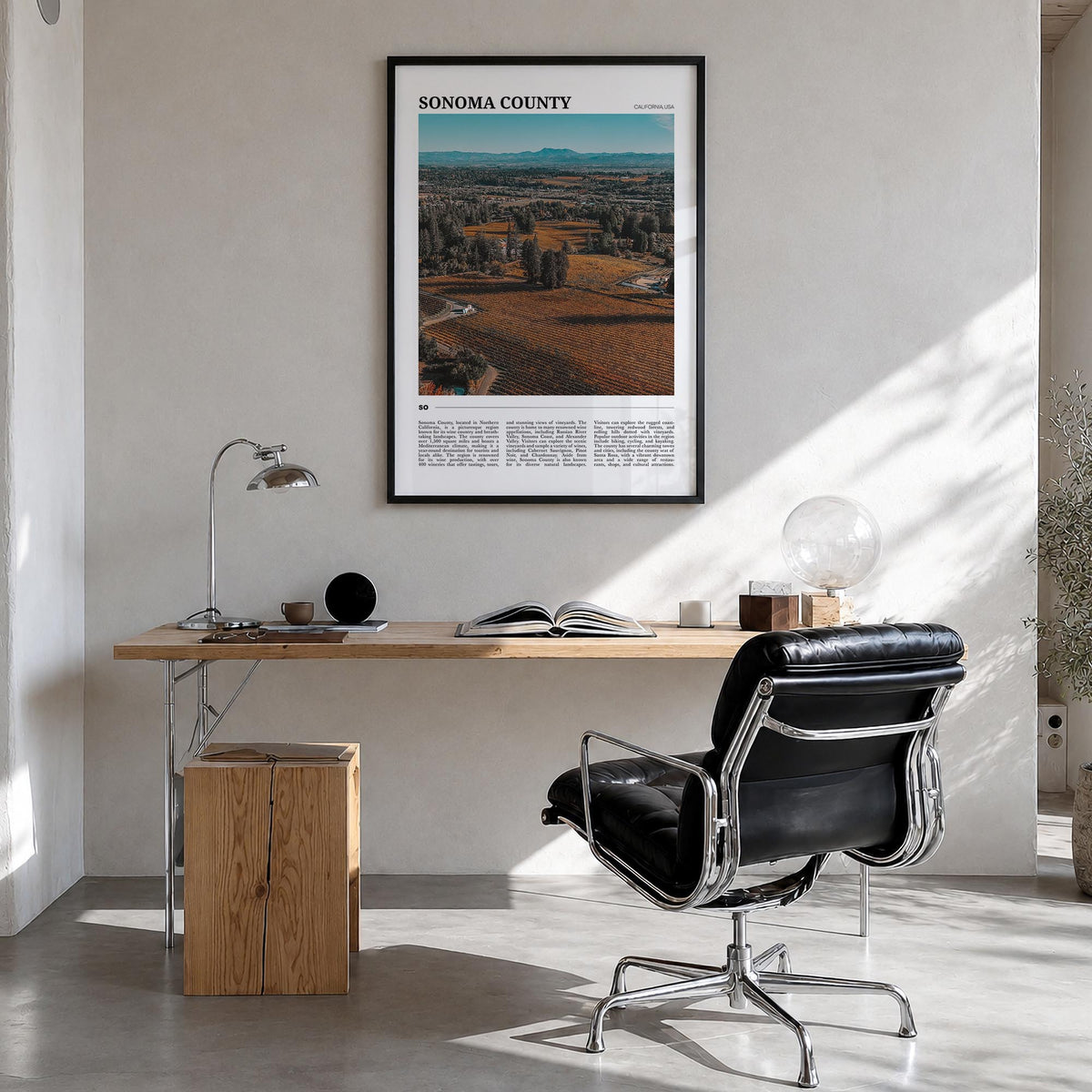Sonoma County Travel Poster
