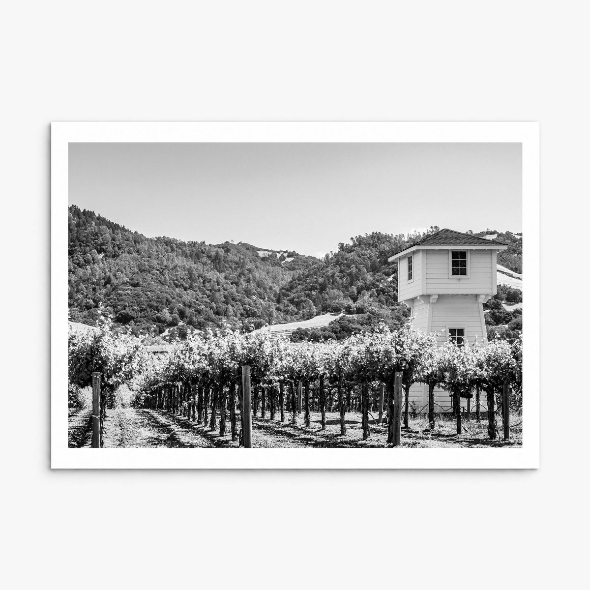Sonoma Photo Poster, print only (unframed), white border