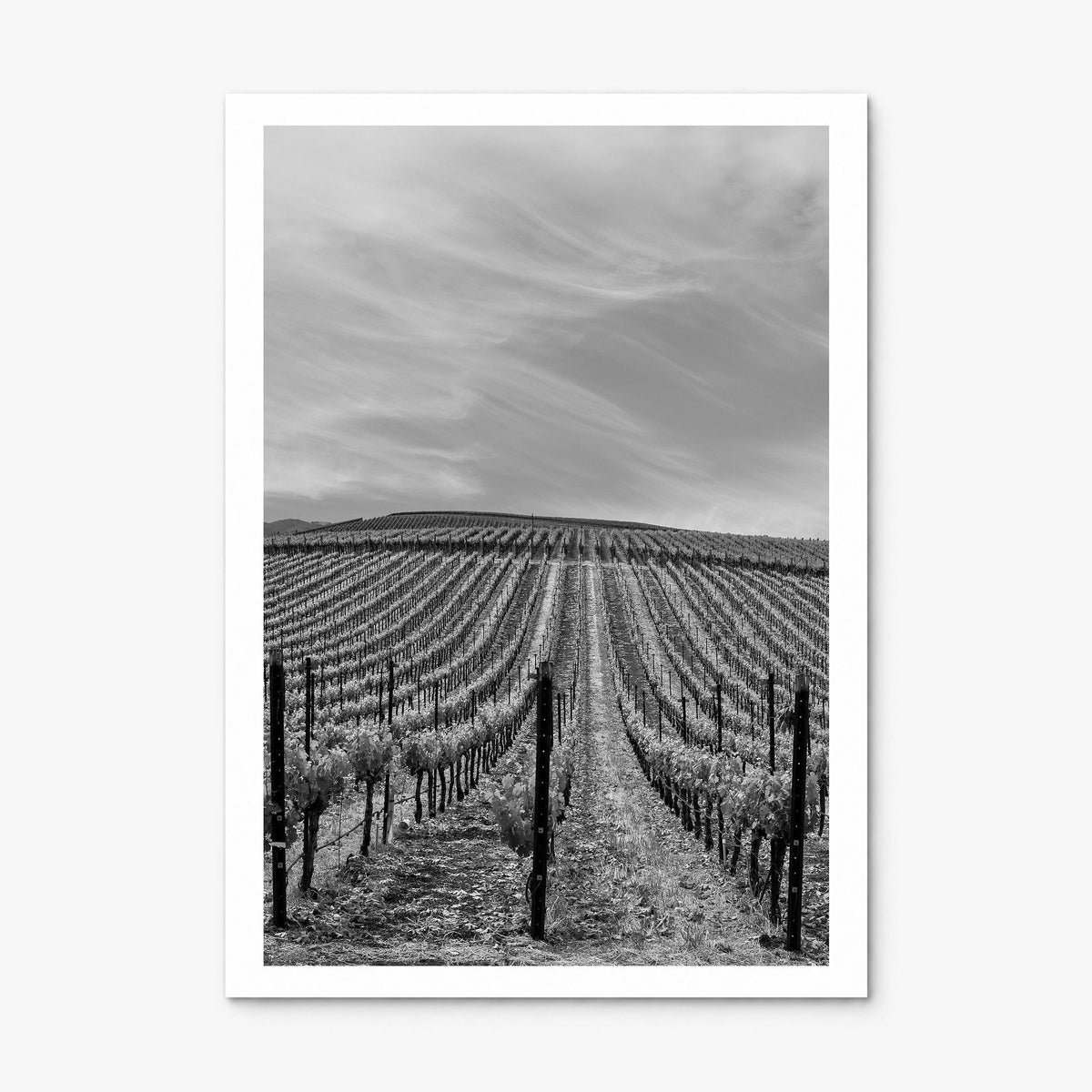 Sonoma Photo Poster, print only (unframed), white border