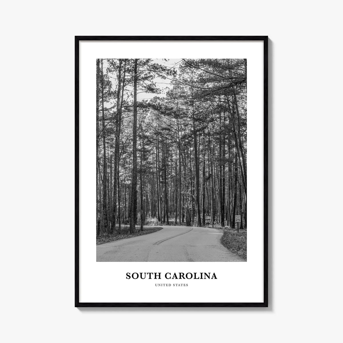 South Carolina black & white classic poster of United States – vertical wall art, unframed print shown in interior mockup