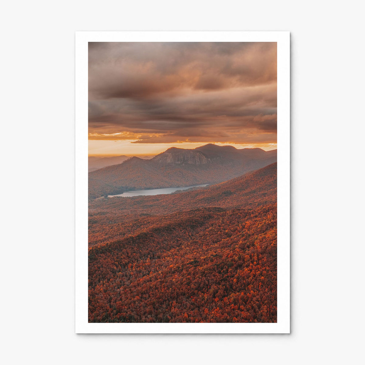 South Carolina Photo No 3 Poster, print only (unframed), white border