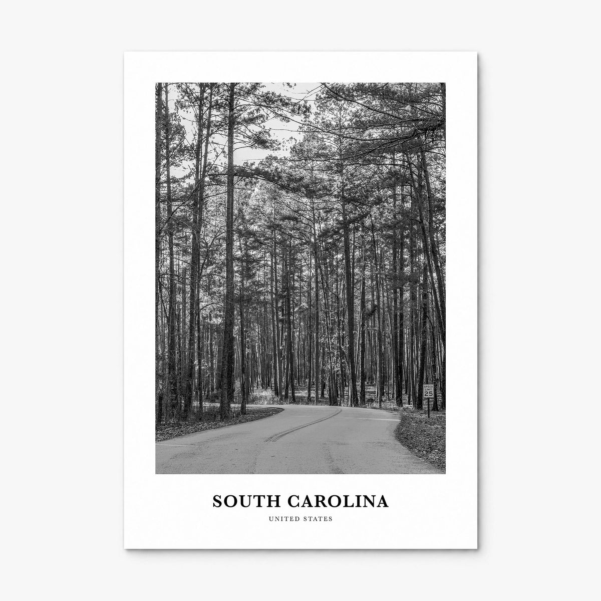 South Carolina Classic Poster, print only (unframed)