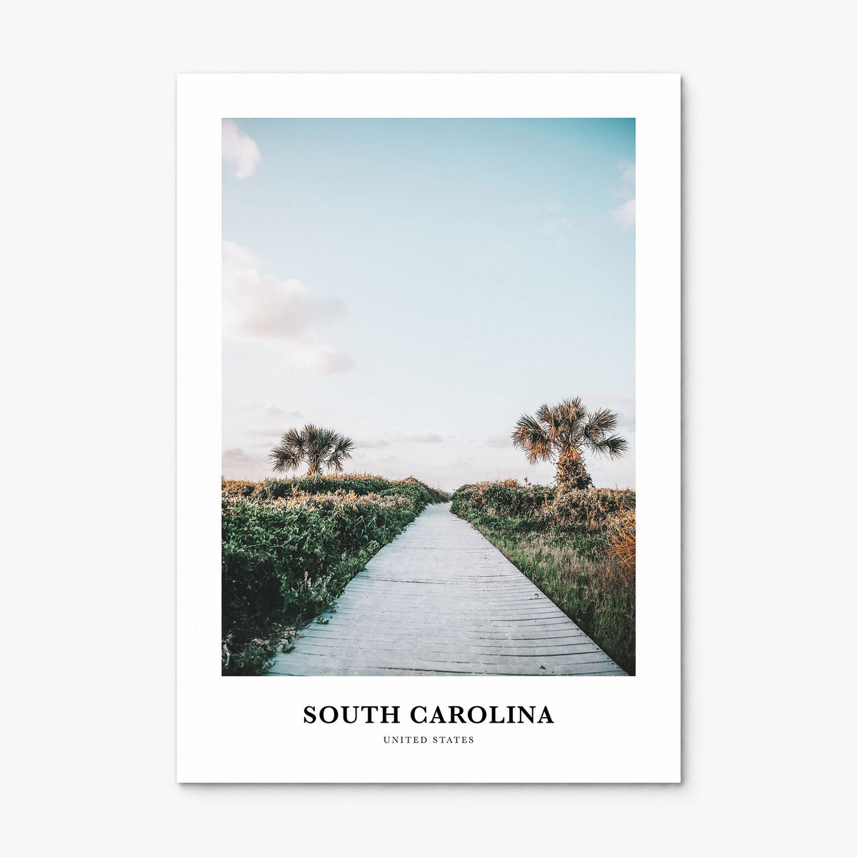 South Carolina Classic No 1 Poster, print only (unframed)