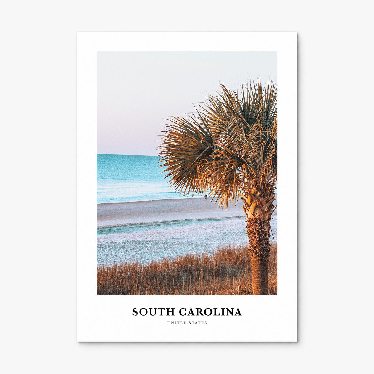 South Carolina Classic No 2 Poster, print only (unframed)