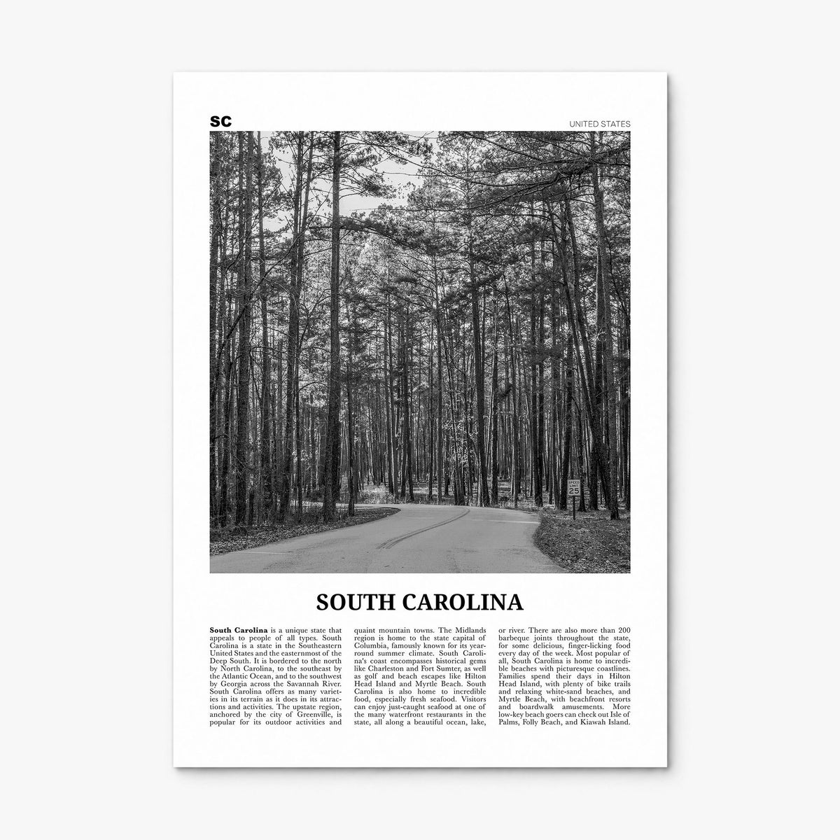 South Carolina Newspaper No 2 Poster, print only (unframed)
