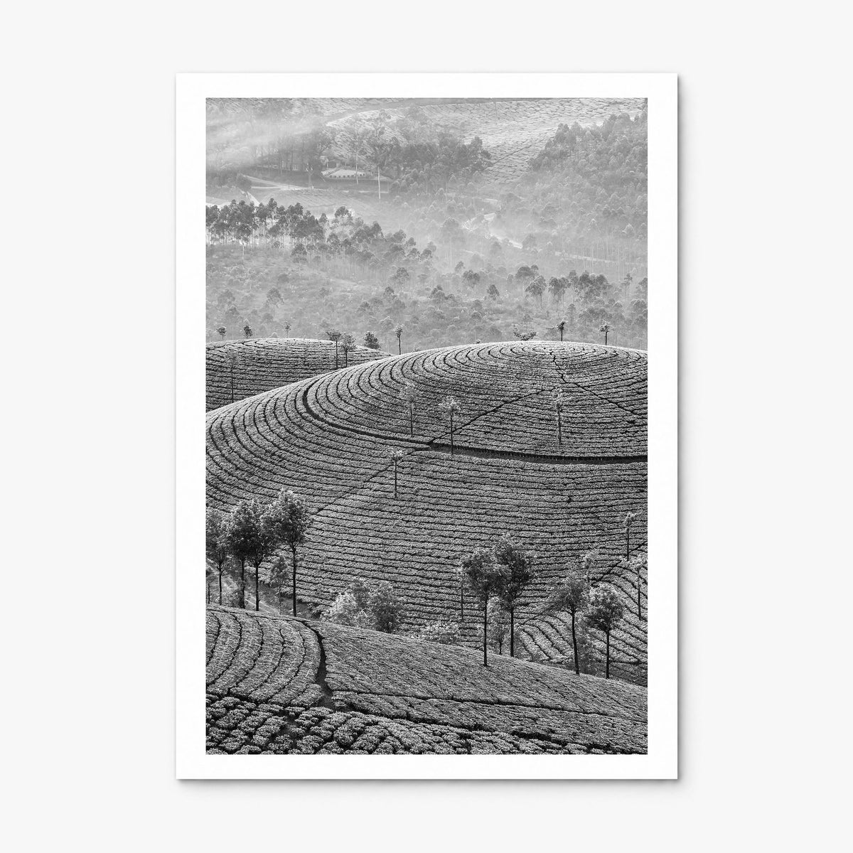 Sri Lanka Photo Poster, print only (unframed), white border