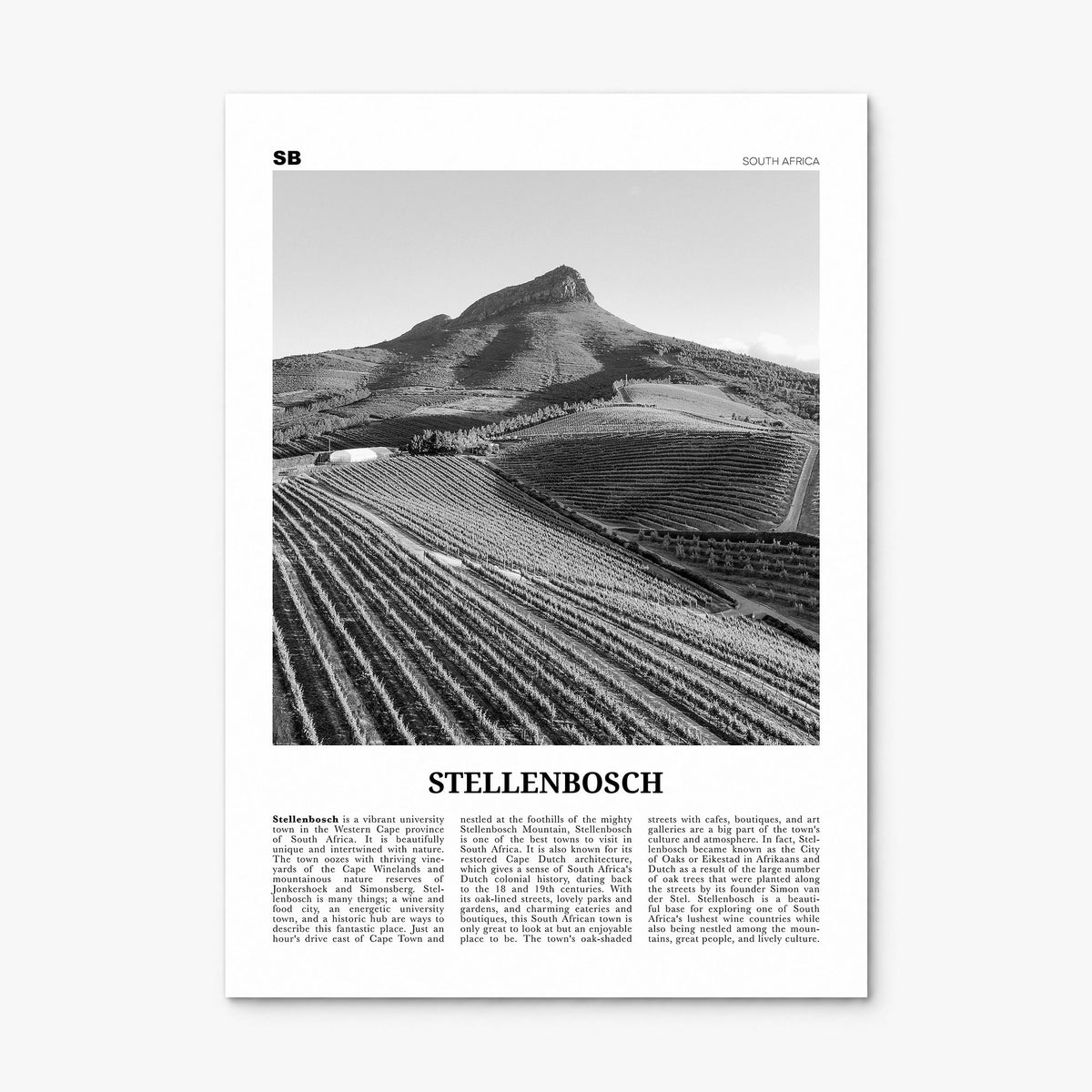 Stellenbosch Newspaper Poster, print only (unframed)