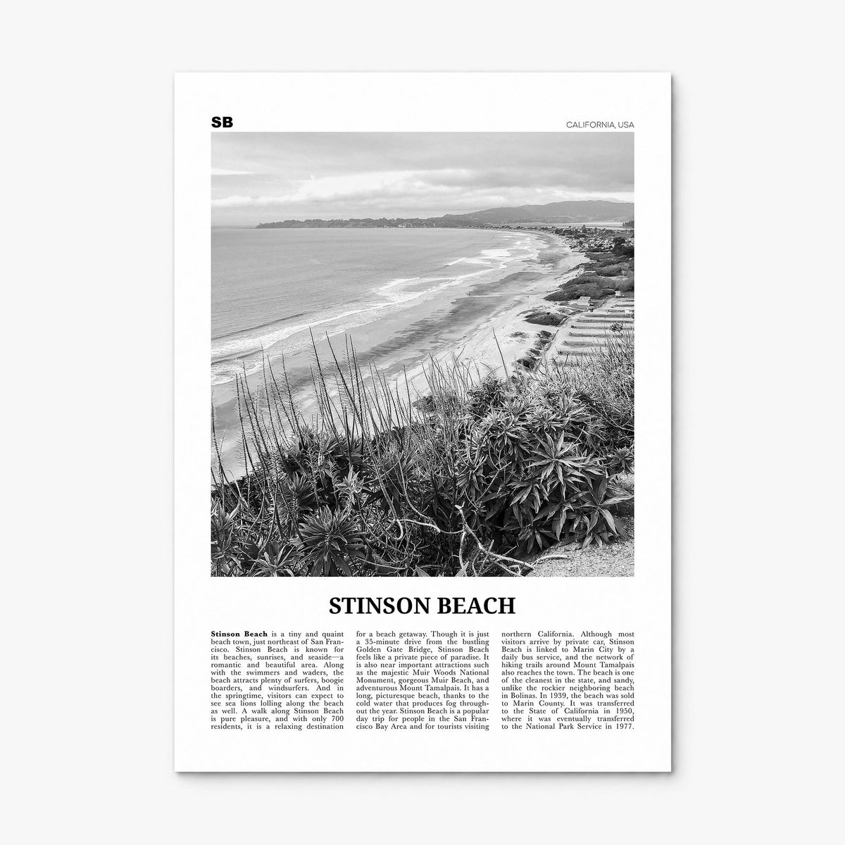 Stinson Beach Newspaper Poster, print only (unframed)