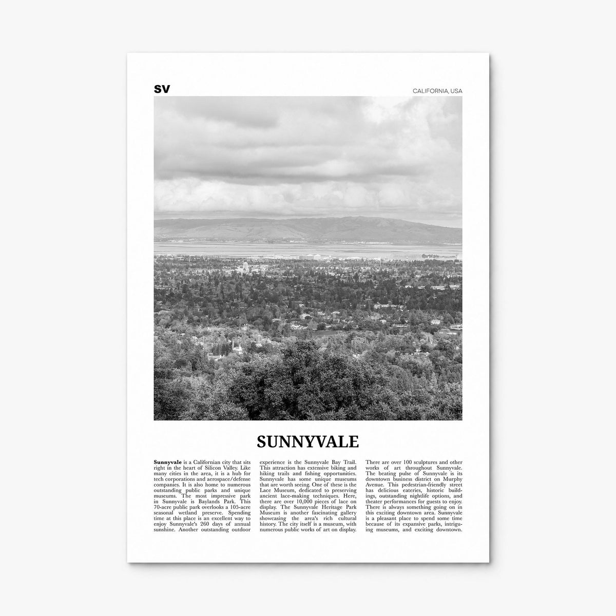 Sunnyvale Newspaper Poster, print only (unframed)