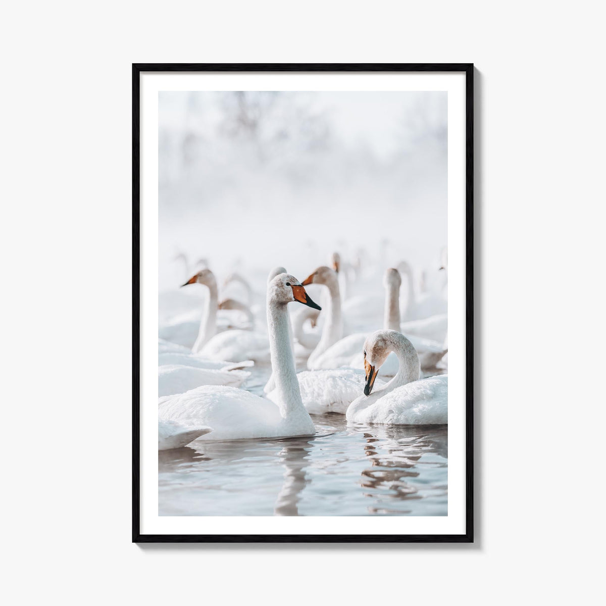 Swan Lake colorful photo poster – vertical wall art, unframed print shown in interior mockup