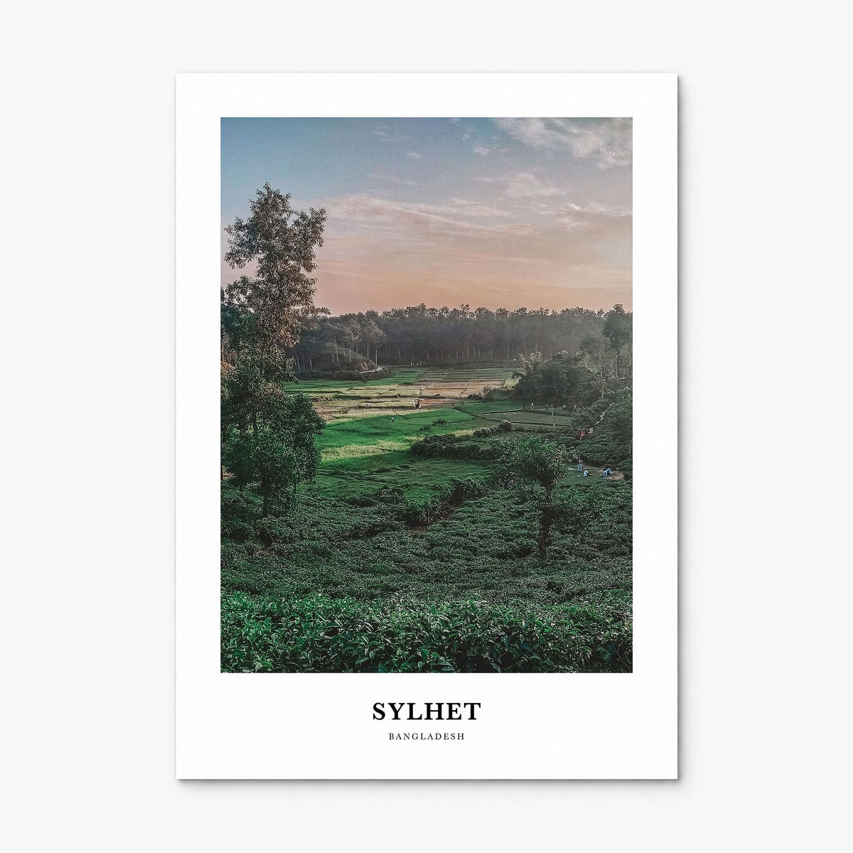 Sylhet Classic Poster, print only (unframed)